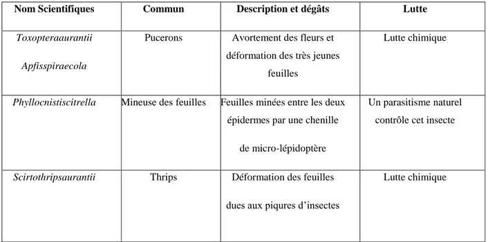 Tableau 4: les principaux ravageurs d’agrumes insectes et autres (ACTA, 2008) 