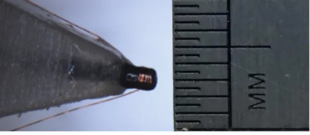 Fig. 2. EM pulse injection setup