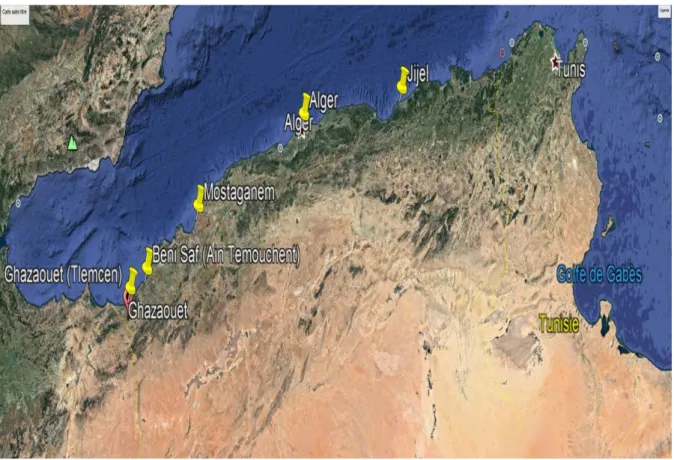 Figure 8 : Zones de capture de Sardina pilchardus dans la côte algérienne (Google Earth)  2-1-4 Échantillonnage de Sardina pilchardus et morphométrie 