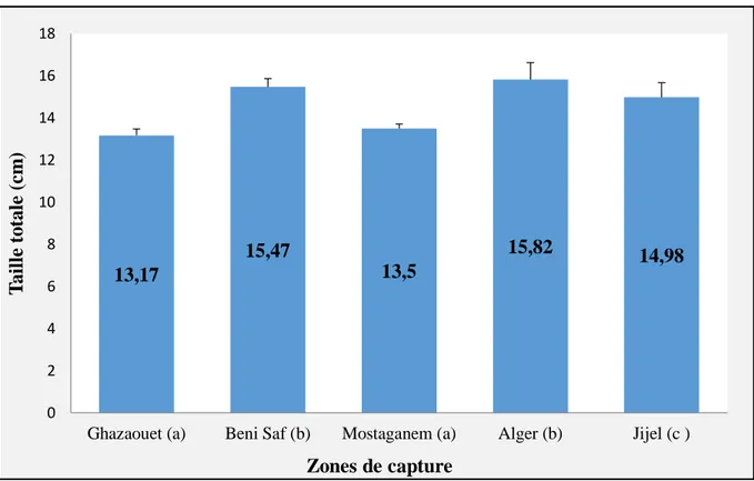 Figure 11. Longueurs des sardines péchées aux des différents sites de capture de la côte  Algérienne, exprimée en centimètres (cm)