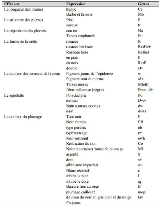 Tableau 5: Exemples de gènes à effets visibles chez la poule locale (Bessadok et al., 2003)