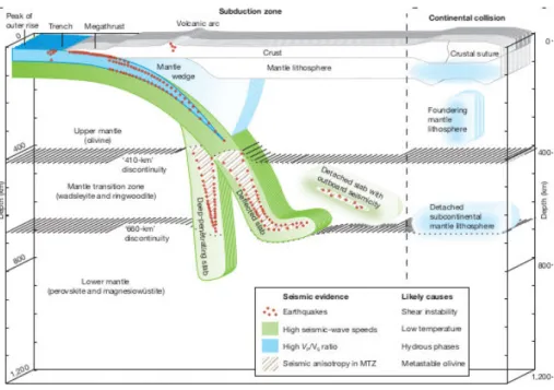 Figure 1.12: Sketches of a subduction zone showing the phases stable through the subduction zone and the behaviour of the subducted plate (from Green et al., 2010).