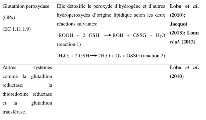 Tableau 03. Systèmes antioxydants endogènes et leurs fonctions. 