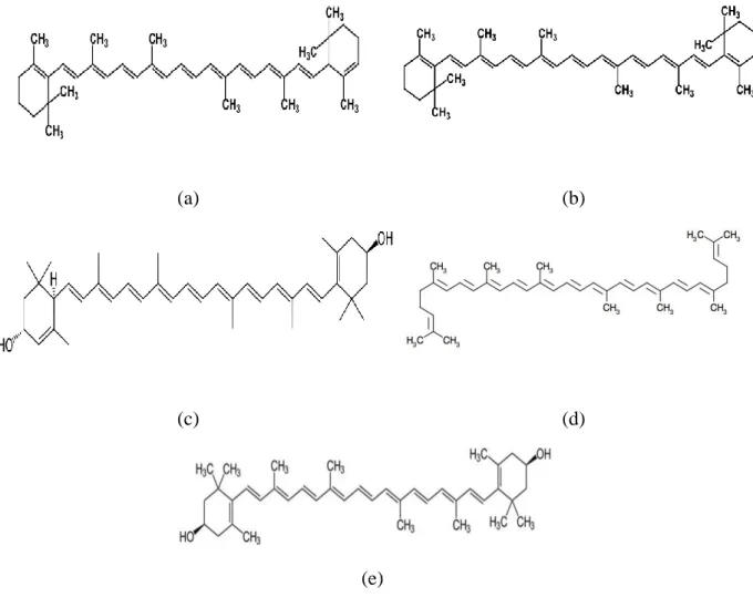 Figure 06. Structure de quelques caroténoïdes. a: alpha-carotène, b: bêta-carotène, c: lutéine,  d: lycopène, e: zéaxanthine (Merhan, 2017) 