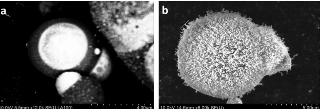 Figure 1.17 – Images MEB à haute résolution des électrons rétrodiffusés par une particule collectée sur (a) le substrat proche ( 1 mm ), et sur (b), le substrat lointain ( 3 mm ) [89].