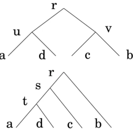 FIG. 1: Topologies associated with the replicon sector (top) and the longitudinal anomalous sector (bottom).