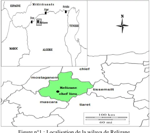 Figure n°1 : Localisation de la wilaya de Relizane. 