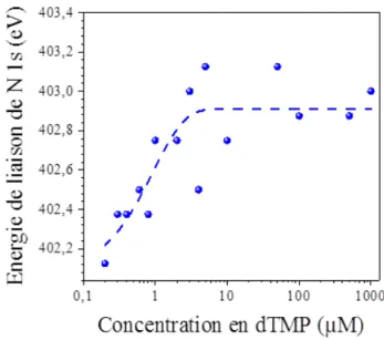 Figure  36  : Evolution de la position du pic N 1s avec la concentration en dTMP (en échelle  logarithmique) pour des conditions identiques d’incubation (1 h à 30 °C)