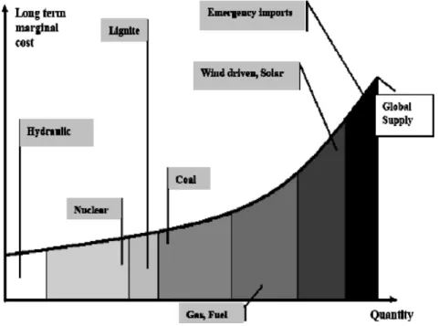 Figure 1: Supply curve of electricity