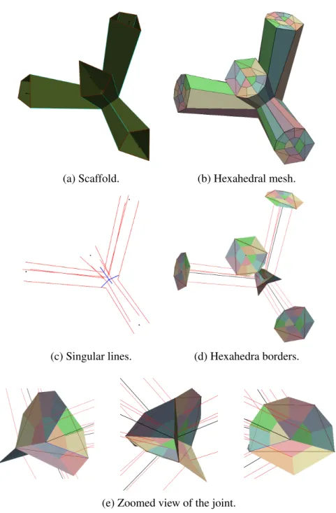Figure 2.4: Hexahedra after a subdivision of two layers around a skeleton joint. From (a) and (b) one can appreciate how the scaffold is subdivided