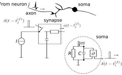 Figure 1.3: Schematic diagram of the integrate-and-fire model. The ba- ba-sic circuit is the module inside the dashed circle on the right-hand side
