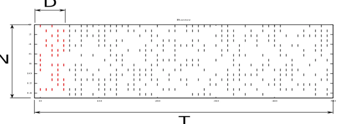 Figure 2.1: Schematic representation of a raster plot with N neurons ob- ob-served during a time T after a period D (in red), which represents an initial state.