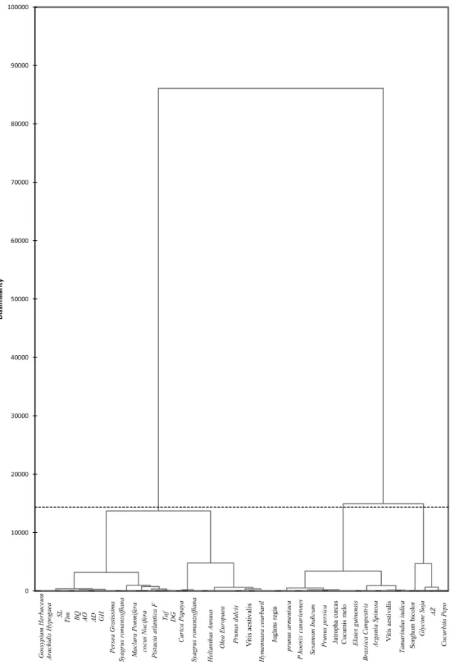 Fig. 2. Dendrogram obtained from the tocopherols cluster analysis of the nine studied Date seeds and 29 different plants oils.