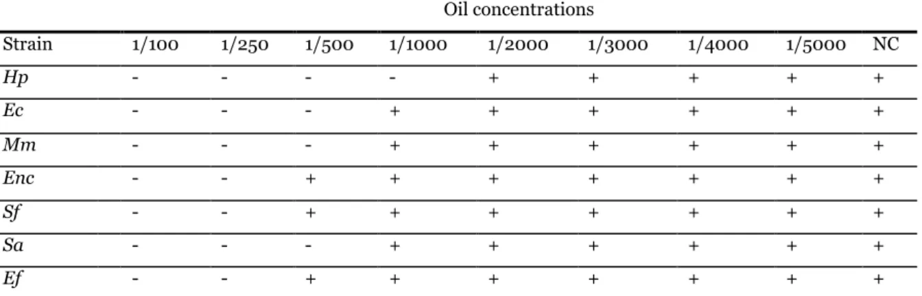 Table 2. Antibacterial activity of essentiel oil of Pistacia lentiscus collected in the region of Mostaganem, Algeria  against seven pathogenic bacterial strains
