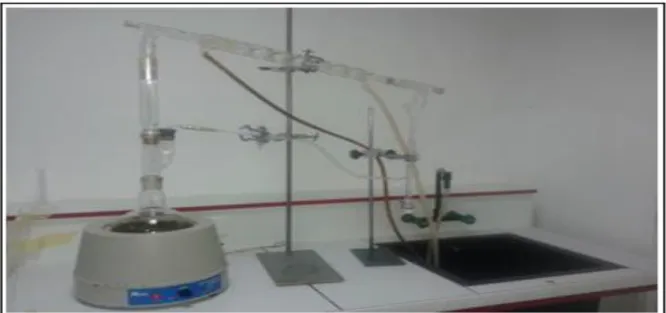 Fig. 2. The experimental setup for Pistacia lentiscusessential oilextraction by hydrodistillation (Clevenger type)