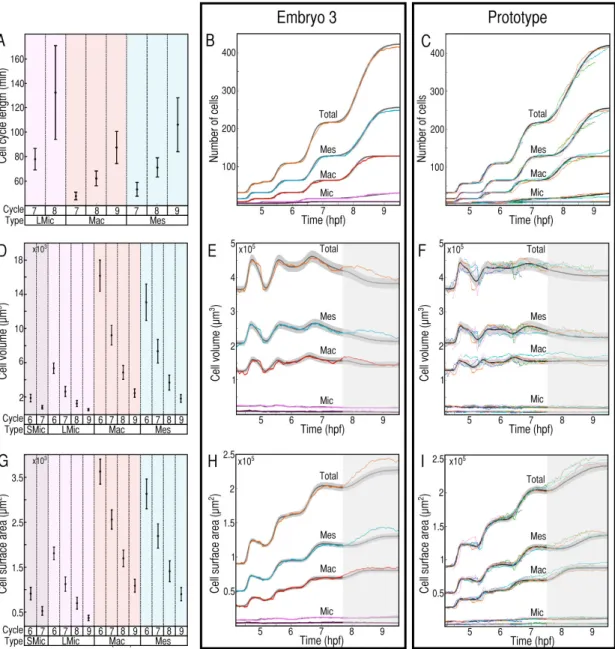 Figure 1.2: Probabilistic modeling. Each individual of the cohort is associated to one color.