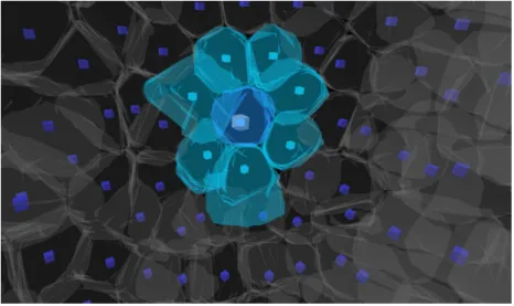 Figure 2.3: Example of a cell with seven neighbors (visualized with the Mov-IT software).