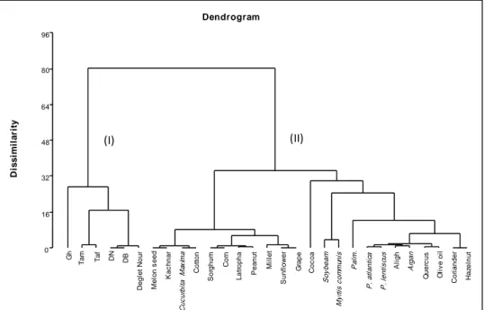 Figure 1: Dendrogram obtained from a cluster analysis of different Algerian cultivars  of Phoenix dactylifera and a selection of edible vegetable oils of different plants