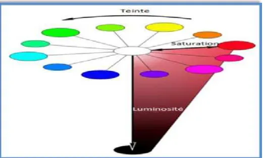 Figure 6. TSL (teinte, saturation, luminosité) sous forme cône . [Meskaldji. K, 20.09] 