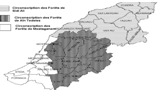 Figure 9 : Carte d’environnement de la Conservation des Forêts de la Wilaya de Mostaganem.