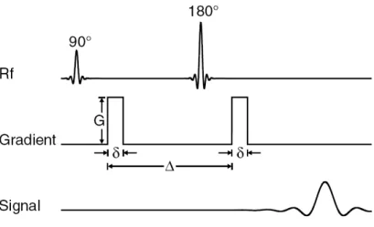 Figure 2.1: Pulsed Gradient Spin-Echo (PGSE) sequence introduced by Stejskal and Tanner (Stejskal and Tanner, 1965)