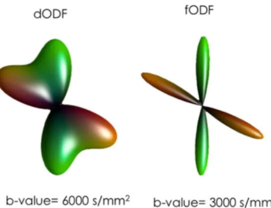 Figure 2.3: 60 ◦ fibre crossing configuration visualized using dODF and fODF profiles.