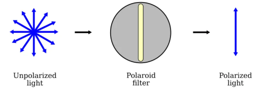 Fig. 3.1 illustrates the process of polarization using a polaroid filter 1 which filters out one-half of the vibrations upon transmission of the light.