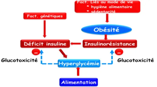 Figure 1 : Etiopathologénie de diabète de type2 (Bidai ; 2012) 