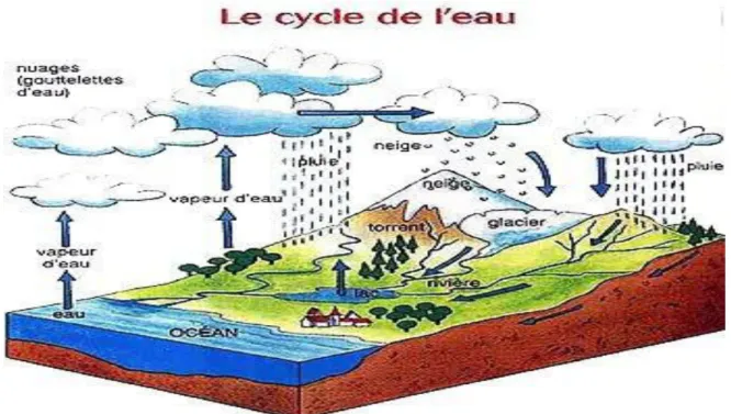 Figure I.1 :  Le cycle de l’eau.