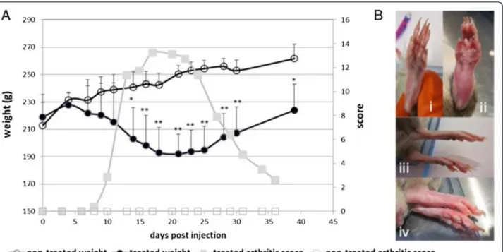 Figure 1 Model of arthritis in Dark Agouti rats. (A) Mean arthritic score and weight evolution at different times after injection of