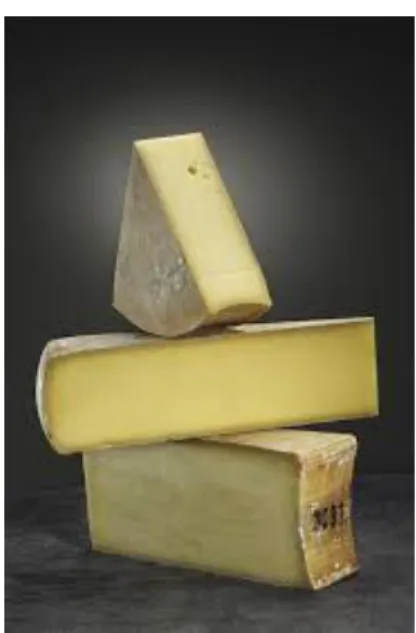 Figure 04 : Fromage à pâte pressée (Anne , 2015 ) 