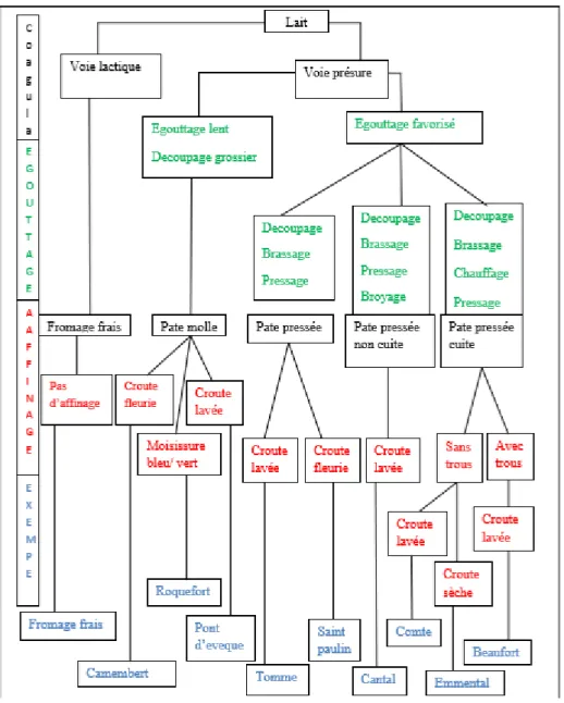 Figure 06:Les étapes majeures de fabrication (TORMO, 2010)