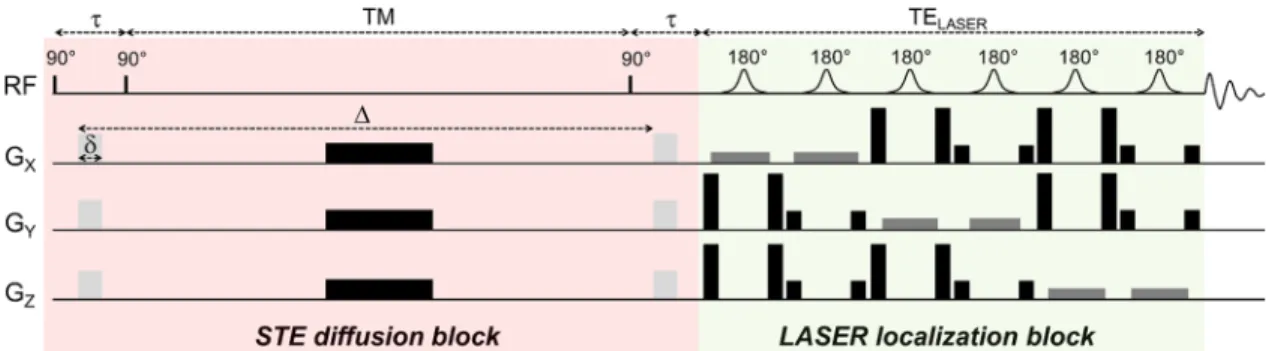 FIG. 2. TE and TM can be varied in the STE block without affect- affect-ing the diffusion gradients