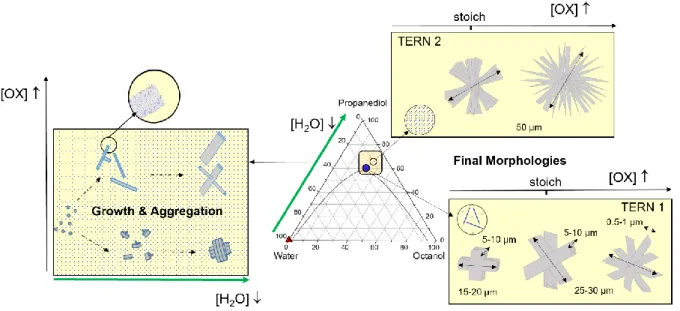 Figure 10.  Scheme summarizing the effects of two parameters (water and oxalic acid concentrations)  on the morphology of cerium oxalate precipitated in a surfactant free emulsion