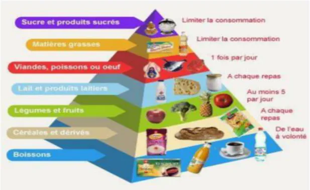 Figure 02 : Le triangle alimentaire (Martin, 2001). 