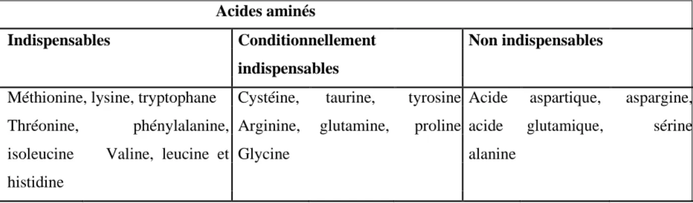 Tableau  04:  Caractère  indispensable  ou  non  des  acides  aminés  en  fonction  des  situations  (MARTIN, 2001)