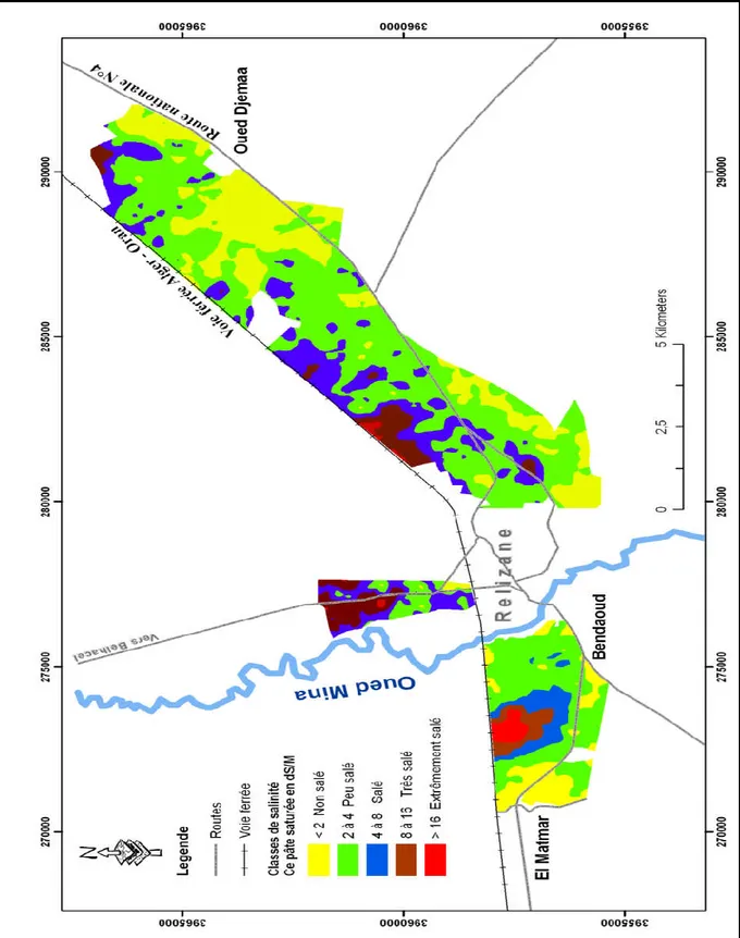 Figure 13. Carte de salinité des sols du périmètre irrigué de la Mina sur 6000 Ha  (INSID, 2008)