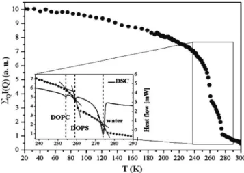 FIG. 4. Temperature dependence of the integrated elastic intensities of the protein-free lipids in the in-plane configuration measured on IN16