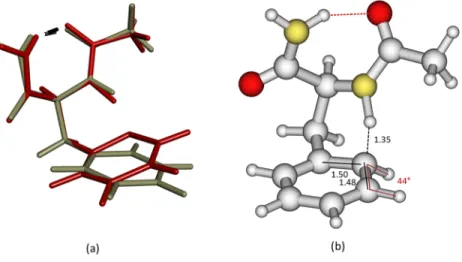 FIG. 4. (a) Comparison between the CC2/cc-pVDZ geometries of M ππ ∗ (in gray) and M 0 CT (in red)