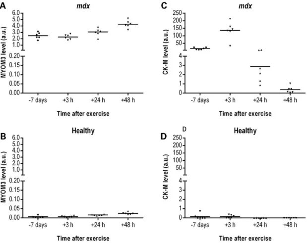 Figure 6. Levels of the MYOM3 fragments (A, B) and CK-M (C, D) in serum from healthy (B, D) and mdx (A, C) mice at different time after physical exercise estimated by Western blot analysis