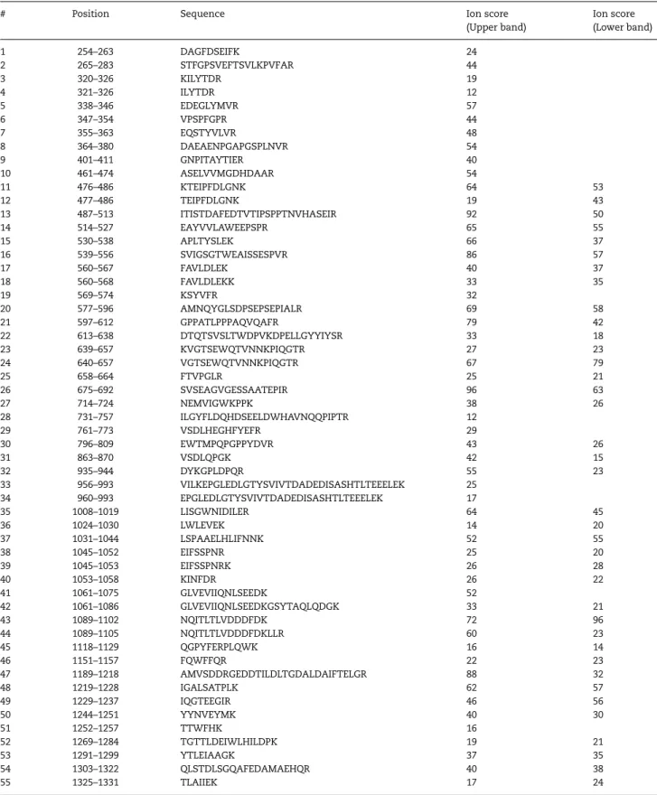 Table 4. List of MYOM3 peptides identiﬁed by mass spectrometry in upper (∼130 kDa) and lower (∼100 kDa) bands from DMD patient serum