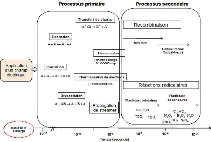 Figure 1-4: mécanisme de formation des espèces en phase plasma froid  
