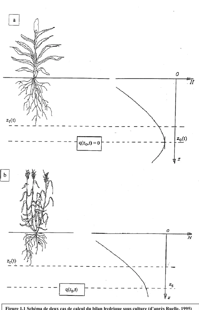 Figure 1.1 Schéma de deux cas de calcul du bilan hydrique sous culture (d’après Ruelle, 1995) 