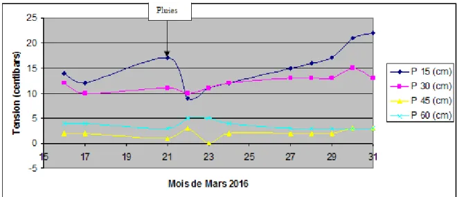 Fig 3.4 - Evolution des tensions relevées durant le mois d'Avril 2016 au niveau du site expérimental 