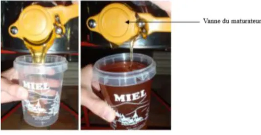 Figure 7: Mise en pot(Lequet,2010) 