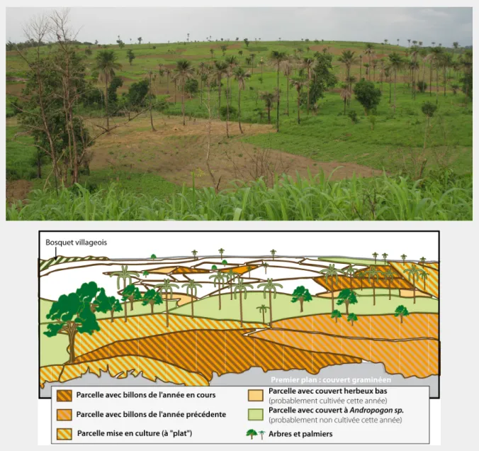 Fig. 9: Un versant de la zone agro-écologique sud Réalisation : Augustin Palliere. 