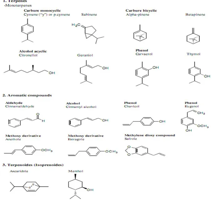 Figure 2 : Structures chimiques des composants prépondérants des H.Es (Bakkali et al.,  2008)