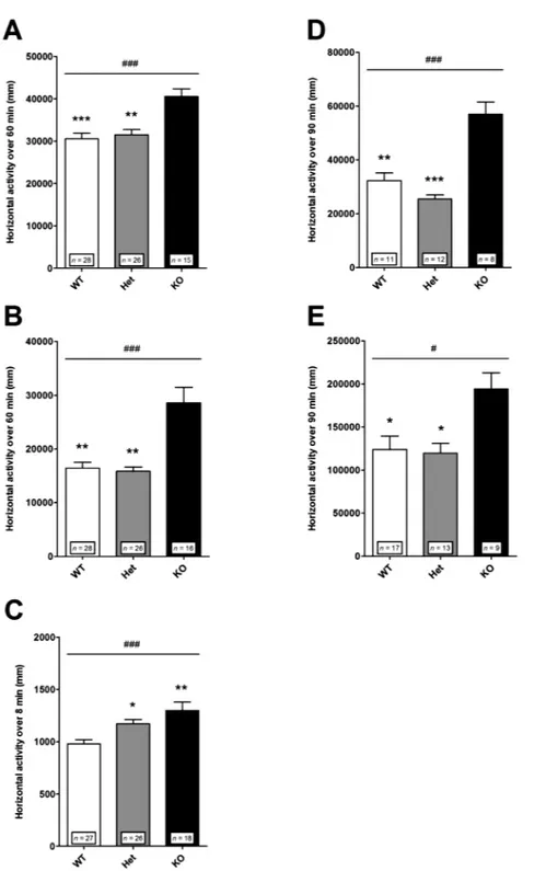 Fig. 2.  Locomotor reactivity to acute mild stress and to amphetamine in control mice