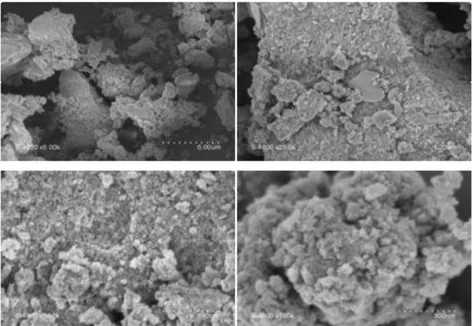 Figure V- 7: Images par Microscope Électronique à Balayage (MEB) à différent agrandissement  de Bi-Zn-TiO 2  calciné à 500°C