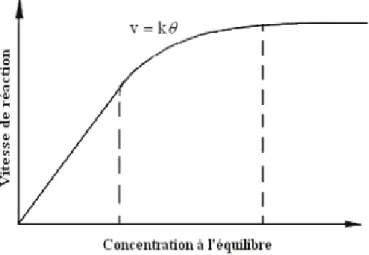 Figure III- 8: Variation de la vitesse de réaction en fonction de la concentration à l’équilibre  